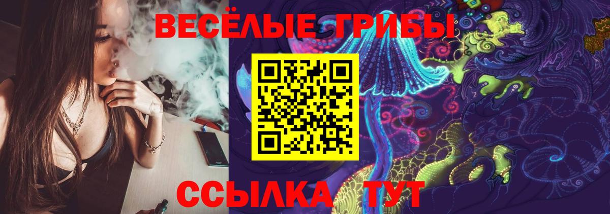 Солнечногорск  Галлюциногенные грибы ЛСД  Вход с VPN 